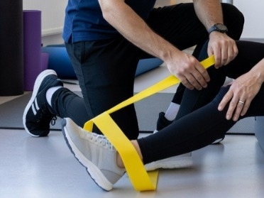 Fisioterapia (30 min.)_image